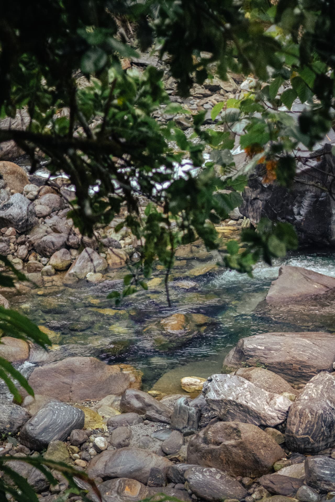 A clear mountain stream running over smooth grey and brown rocks, framed by overhanging green leaves on a soft, cloudy day.